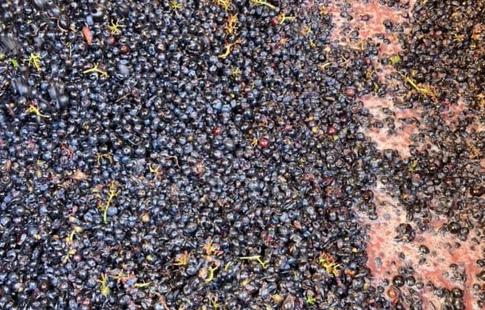 Visita e degustazioni al Castello di Poncié 49,00 €