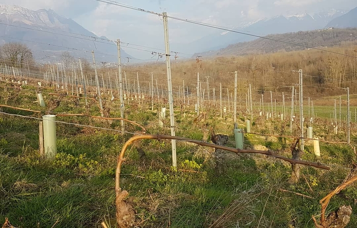 Visita e degustazioni del Domaine De L'idylle 30,00 €