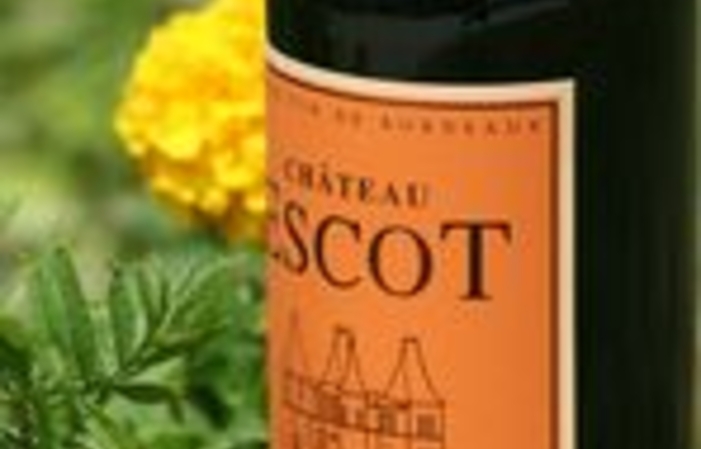 Visita e degustazioni di Chateau Escot 1,00 €