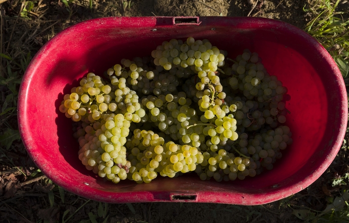 Visita e degustazioni alla Chiusa Grande 1,00 €