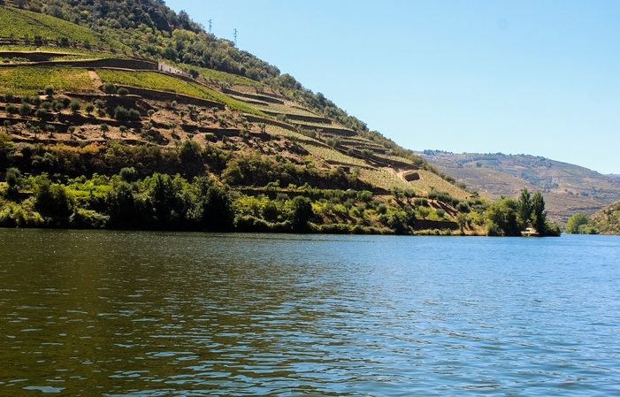 Relax Douro: Godetevi la valle 100,00 €