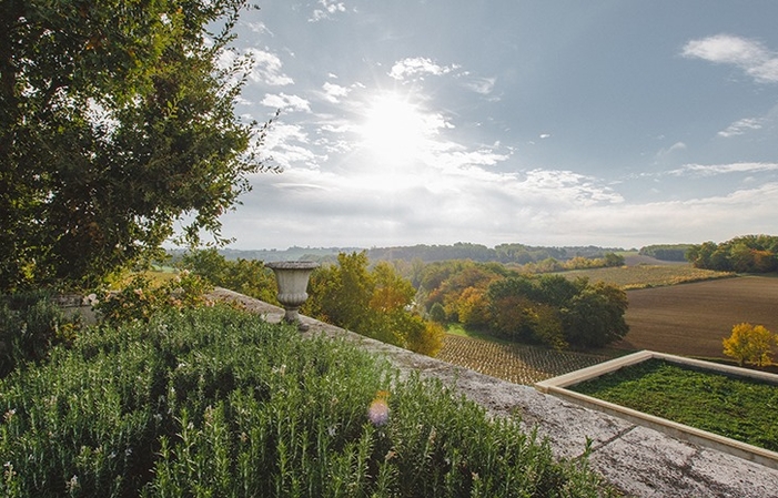 Visita e degustazioni al Domaine d'Arton 1,00 €