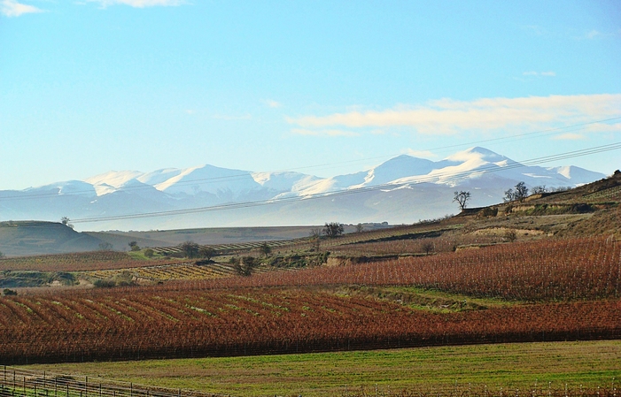 Visita e degustazione - Bodegas Beronia 10,00 €