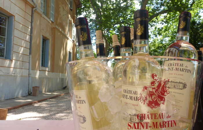 Tour del castello di Saint Martin, degustazione e 50,00 €