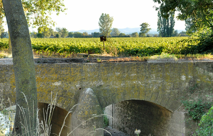 Visita e degustazione al Domaine Ricardelle de Lautrec 1,00 €