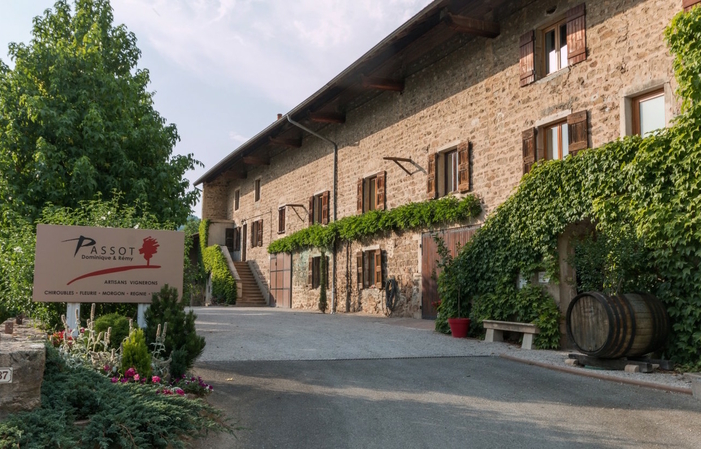 Domaine Passot: Tour della tenuta e degustazione 11,60 A$