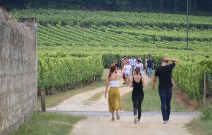 Giornata intera nella Loire COURS D'OENOLOGIE 160,00 €