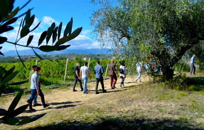 Visita e degustazioni presso Tenuta Del Priore 1,00 €