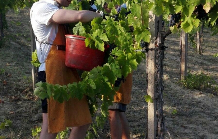 Visita e degustazioni in Valle Martello 1,00 €