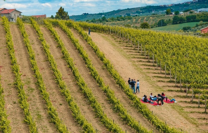 Visita e degustazione al Vini Contesa 1,00 €