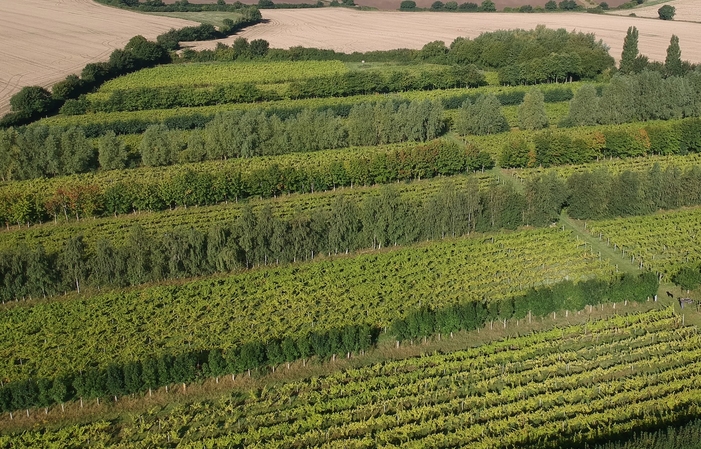 Visita e degustazione - Giffords Hall 40,00 €