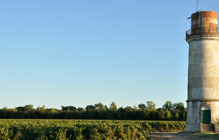 Visita e degustazione al Domaine Ricardelle de Lautrec 1,00 €