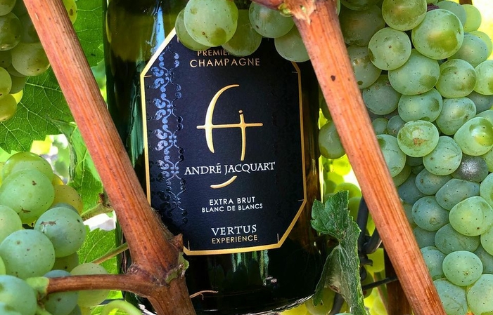 Introduzione alla degustazione di golf e champagne André JACQUART 50,00 €