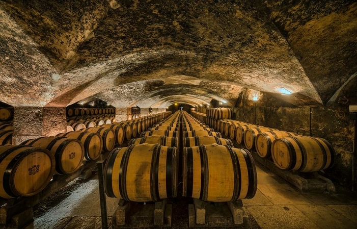 Visita e degustazioni del castello di Meursault 1,00 €