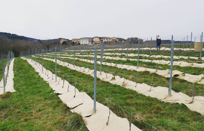 Visita e degustazioni di Domaine Frédéric Berne 15,00 €