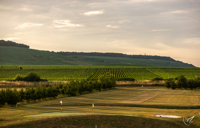 Tour di degustazione - André JACQUART Golf Champag 50,00 €