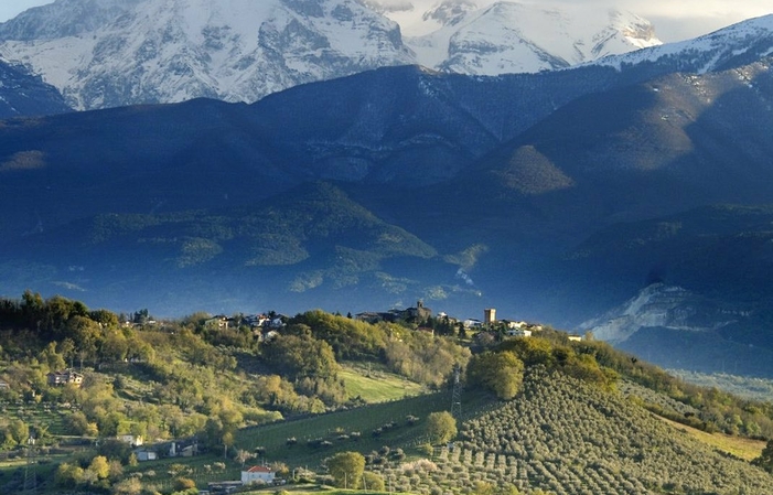 Visita e degustazioni di Masciarelli Tenute Agricole 1,00 €