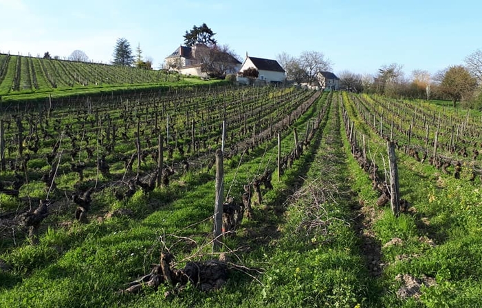 Visita e degustazioni del DOMAINE DE LA NOBLAIE 1,00 €