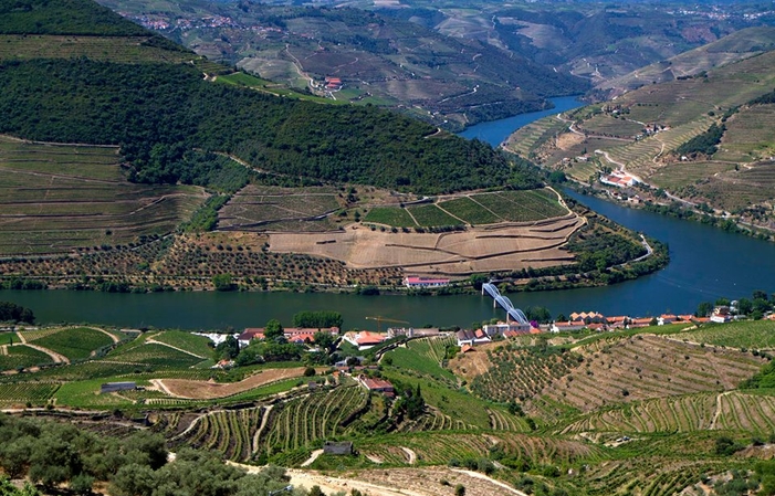 Relax Douro: Godetevi la valle 100,00 €