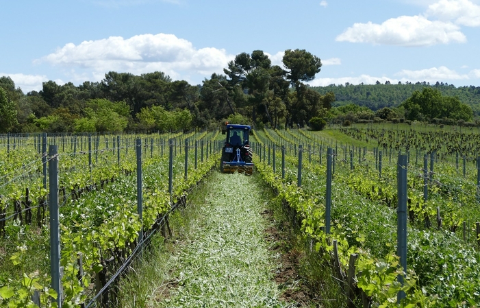 Visita e degustazione a Domaine Villa Baulieu 5,00 €