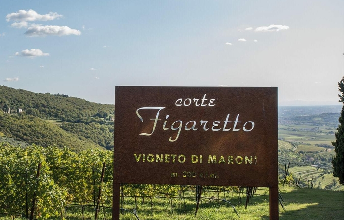 Visita della Cantina Corte Figaretto 1,00 €