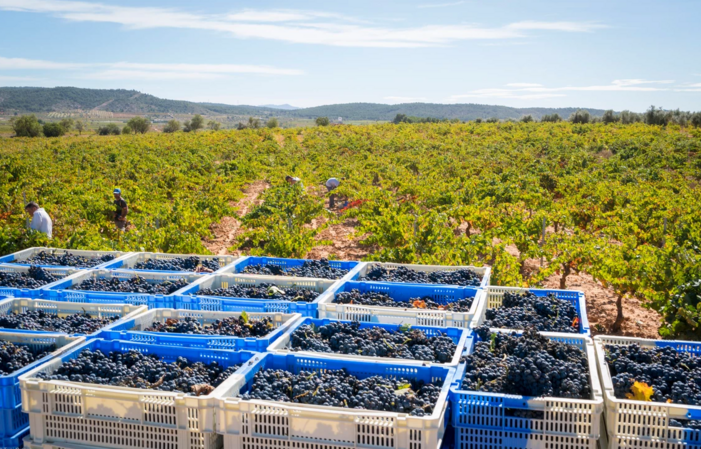 Visita il dominio Via Memorias 1,00 €