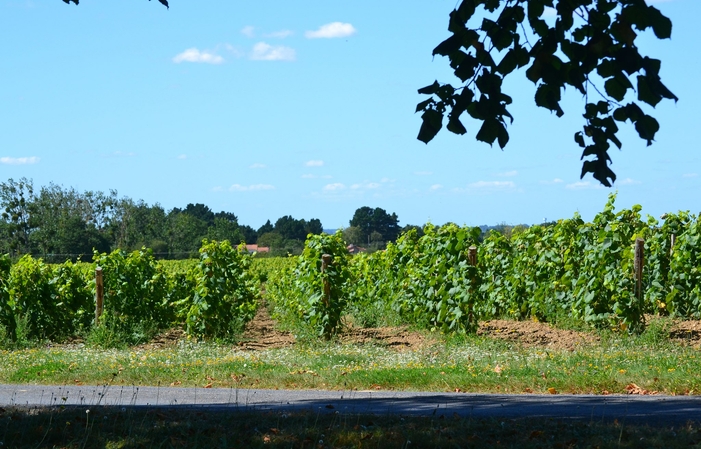 Visita e degustazione a Château Cléray 3,00 €