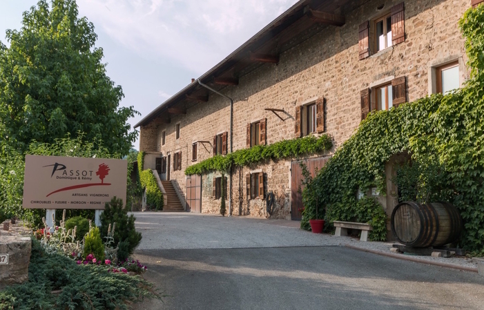 Domaine Passot: Visita della tenuta e degustazione 7,00 €