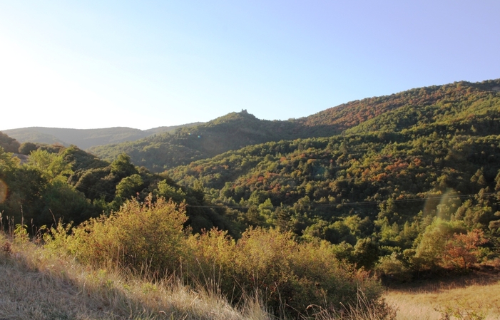 The Prune room in the heart of Languedoc €120.00