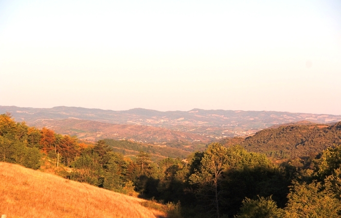 The Prune room in the heart of Languedoc €120.00