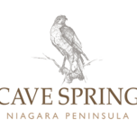 Cave S.