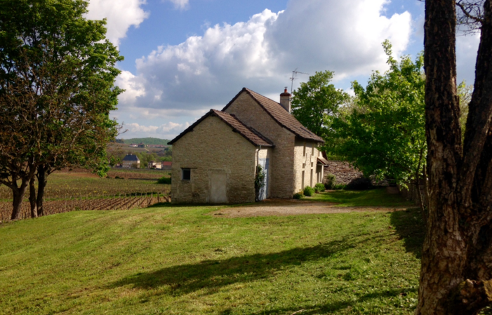 Votre séjour au coeur des vignes en Bourgogne 320,00 €