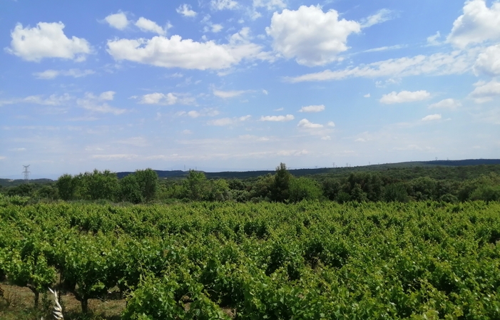 Gite les Garrigues sur propriété viticole 90,00 €