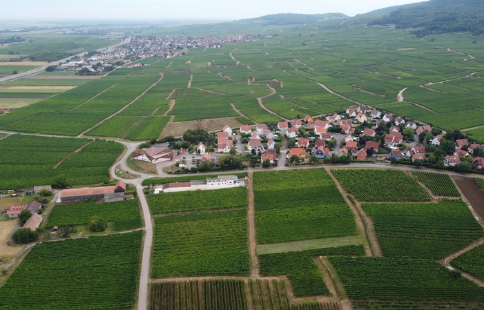 Chambre d’hôtes chez le vigneron alsacien : La Chambre aux Bouteilles au Domaine GUETH 99,00 €