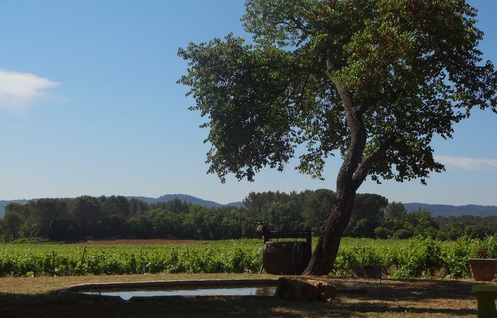 Maison d'hôtes entière à Cotignac 800,00 €