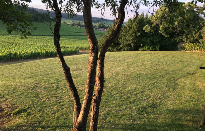 Votre séjour au coeur des vignes en Bourgogne 320,00 €