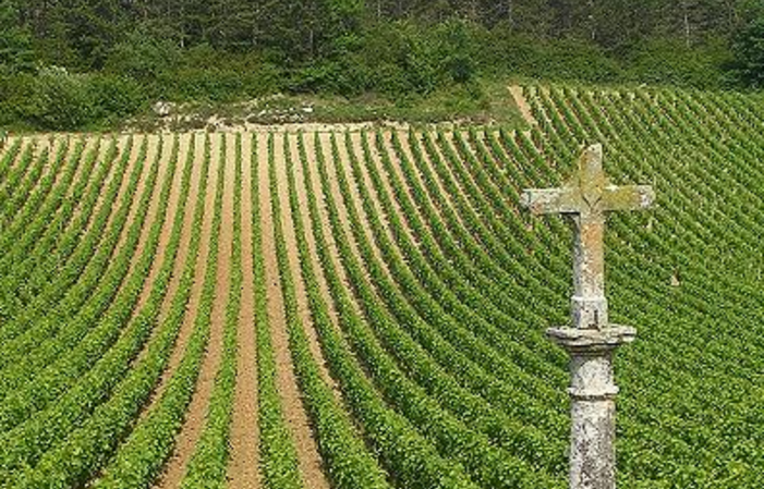 Votre séjour au coeur des vignes en Bourgogne 320,00 €