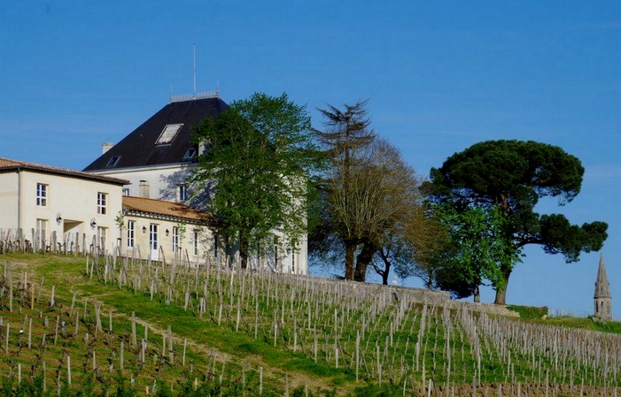 La Maison de Tournefeuille : Magnifique ! 800,00 €