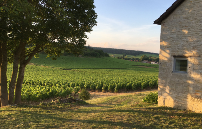 Votre séjour au coeur des vignes en Bourgogne 320,00 €