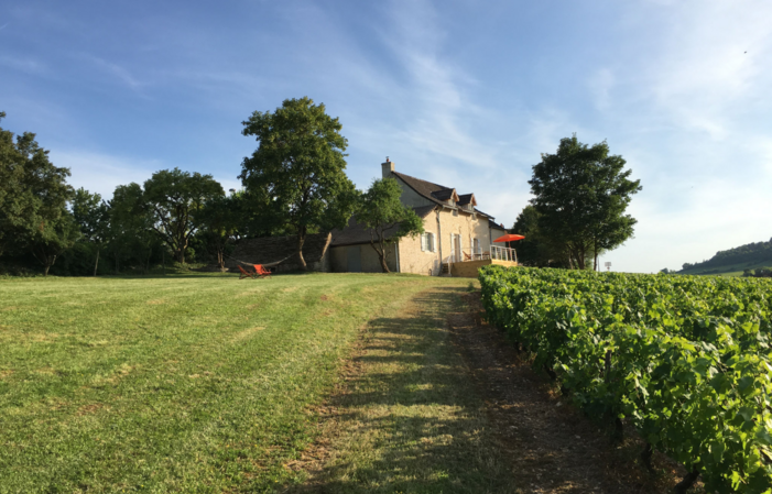 Votre séjour au coeur des vignes en Bourgogne 320,00 €