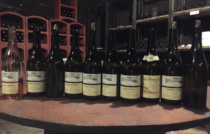 Selection of Burgundy, Domaine Bart Free