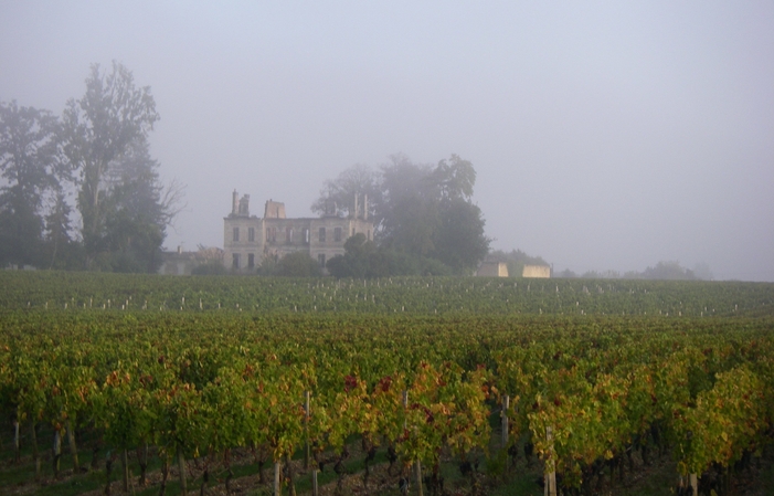 Selection of Bordeaux: Château Branon Wines €240.00