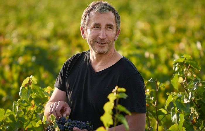 Selection of Burgundy: Domaine René Bouvier Wines Free