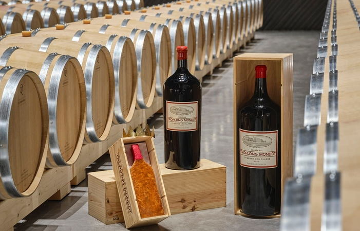 Selection of Bordeaux: Chateau Troplong Mondot Free