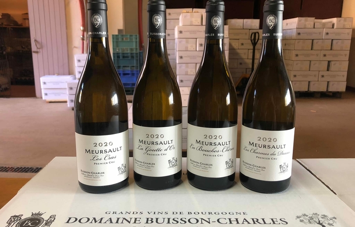 Selection of wines Domaine Buisson- Charles Free