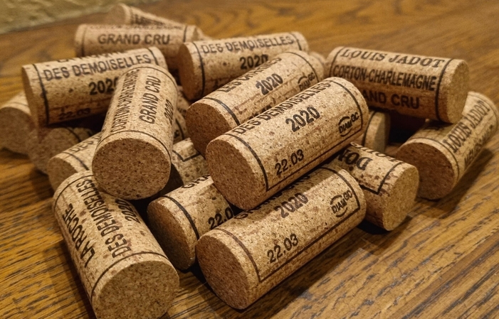 Selection of Burgundy: Maison Louis Jadot Wines Free