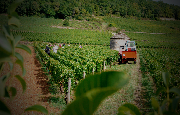 Savigny-Les-Beaune - Les Charnières - 2018 €17.90