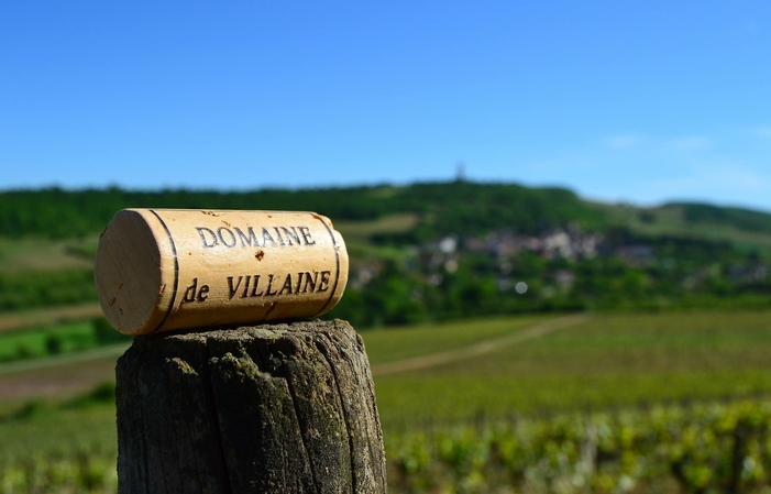 Selection of Burgundy: Domaine De Villaine Free