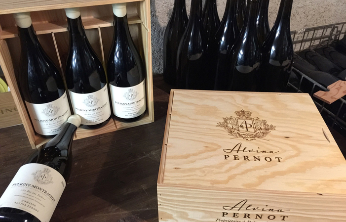 Selection of Burgundy Alvina Pernot Free