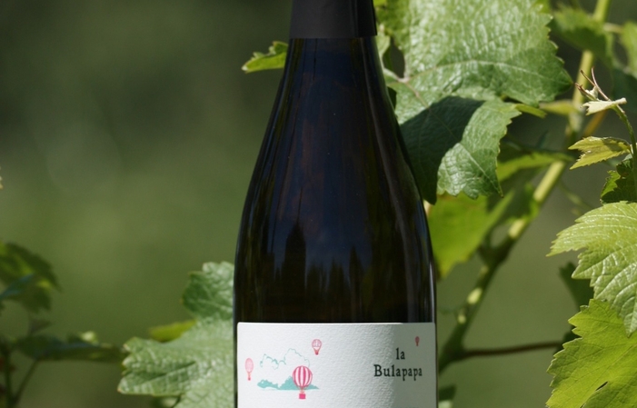 Selection of Loire: Domaine De La Croix Mélier Wines Free